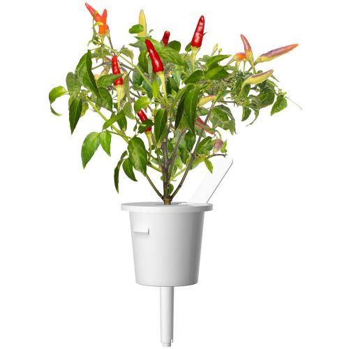 Click and Grow Smart Garden Refill 3-pack - Chili Pepper