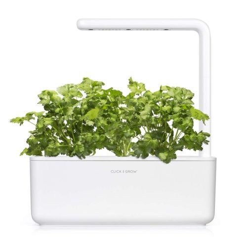 Click and Grow Smart Garden Refill 3-pack - Coriander