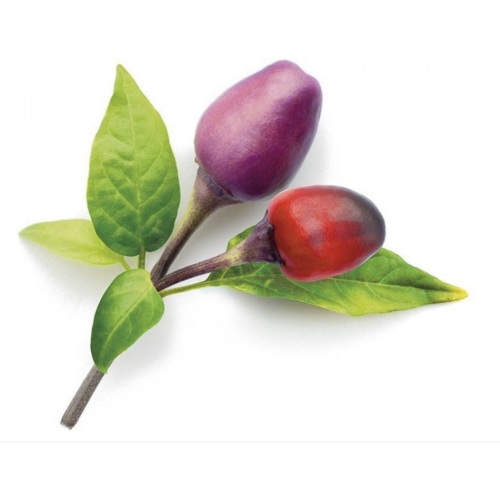 Click and Grow Smart Garden Refill 3-pack - Purple Chili