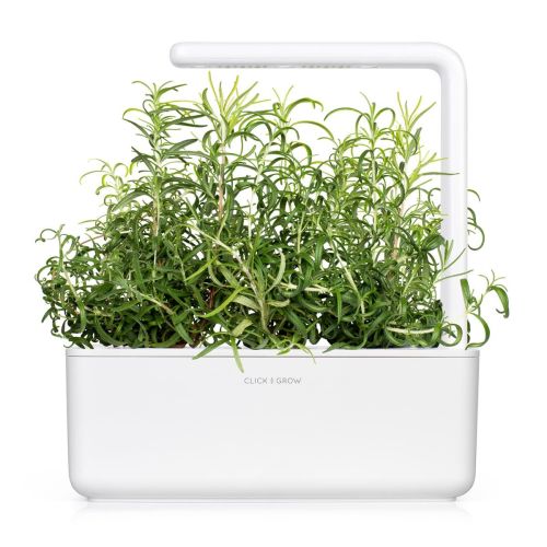 Click and Grow Smart Garden Refill 3-pack - Rosemary