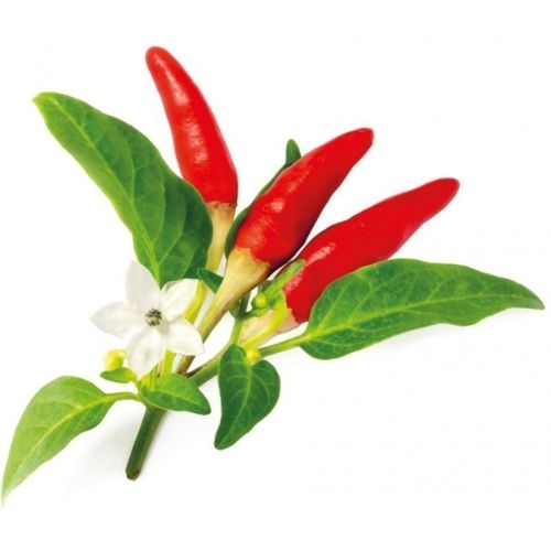 Click and Grow Smart Garden Refill 3-pack - Chili Pepper